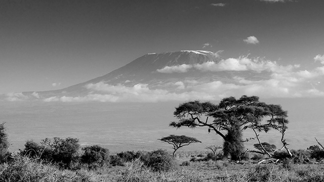 Kilimanjaro