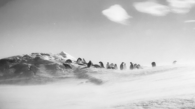 South Pole
